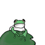 【マイクラ】玄武岩タイプのカエルトラップ作ったけど、カエルって何匹くらいいたらいいの？