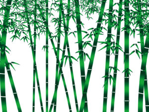 【マイクラ】竹は沈没船のチェストに確率で入ってる事あるから新ワールドを作って初期スポーン地点近くにジャングルがなかった場合は沈没船チェストで竹ガチャをよくやってた思い出
